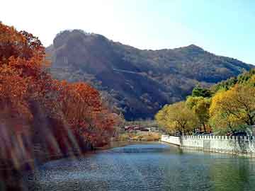 管家婆黑白马报图库，落花无意惹春风